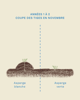 ALEXINE HUET